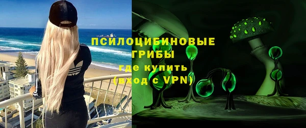 сатива Козельск