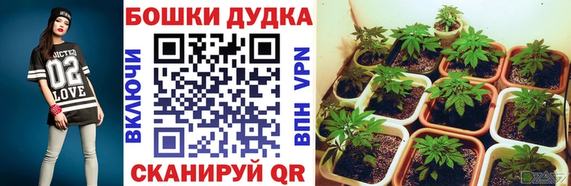 Купить закладки  Судогда  Конопля марихуана 